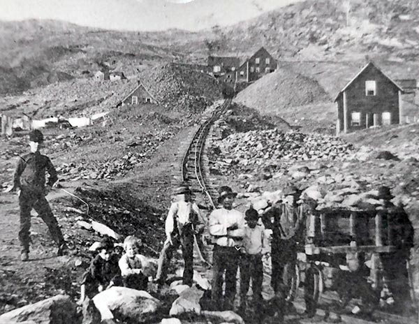 Ely Mine: Educational Mitigation